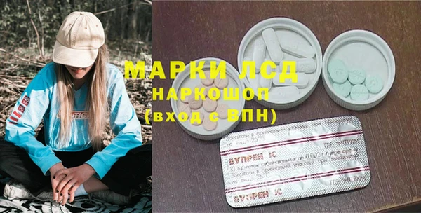 крисы Михайловск