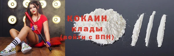 крисы Михайловск