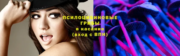крисы Михайловск