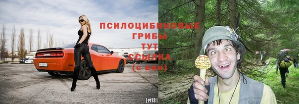 крисы Михайловск